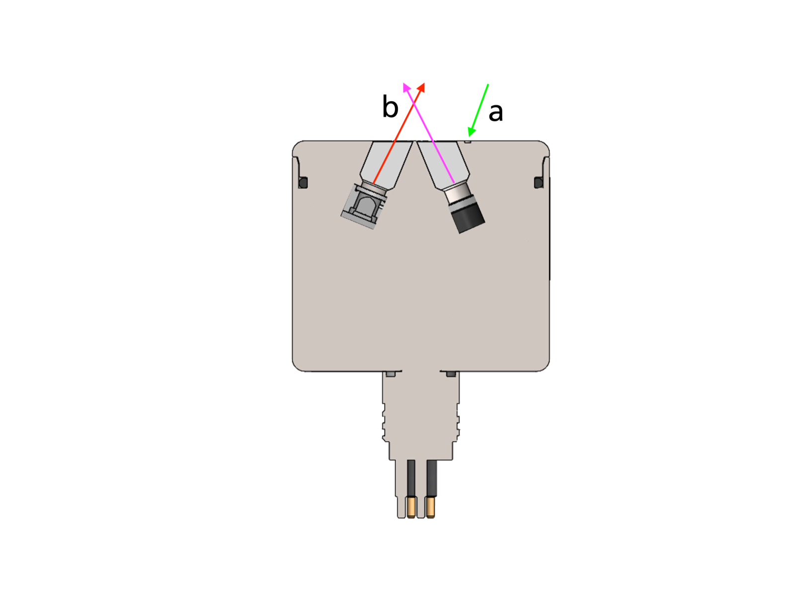 tridenteCrossSection.png